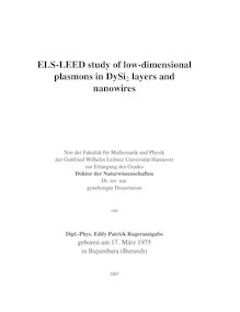 ELS-LEED study of low-dimensional plasmons in DySi_1tn2 layers and nanowires [Elektronische Ressource] / von Eddy Patrick Rugeramigabo