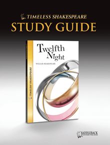 Twelfth Night Novel Study Guide