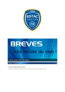 Ligue 1 : la commission d appel de la DNCG valide la montée de Troyes