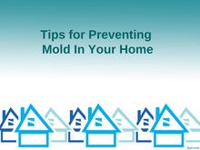 Tips for Preventing Mold In Your Home