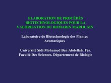 VALORISATION DU ROMARIN (Rosmarinus officinalis) MAROCAIN