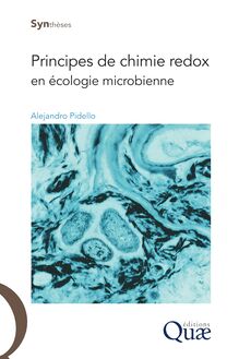 Principes de chimie redox en écologie microbienne