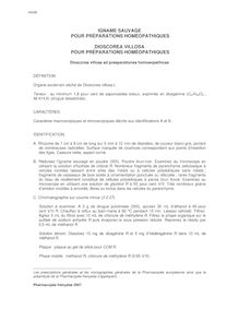Dioscorea villosa PPH / Igname sauvage PPH