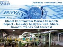 Recently Study On Caprolactam Market Research Report Upto 2021