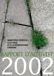 Rapport d activité ministériel 2002 du Ministère délégué à la ville et à la rénovation urbaine