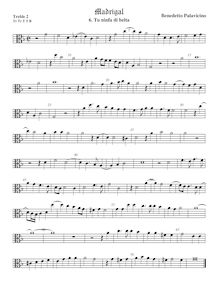 Partition viole de gambe aigue 2, alto clef, Madrigali a 5 voci, Libro 2 par Benedetto Pallavicino