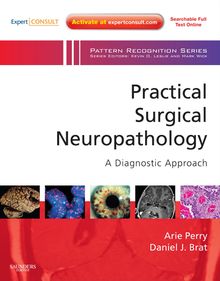 Practical Surgical Neuropathology: A Diagnostic Approach E-Book