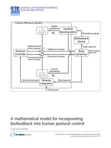 A mathematical model for incorporating biofeedback into human postural control