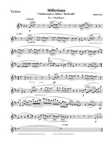 Partition , Waldhaus, partition de violon, Stifteriana, Sieben Bilder für Violine und Klavier nach den sieben Kapiteln aus Adalbert Stifters Hochwald