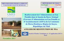 PSA DE HAWA DEMBAYA - OMVS(Région de Kayes au Mali)