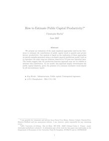 How to Estimate Public Capital Productivity
