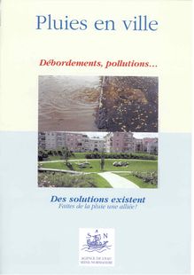 Pluies en ville - Agence de l'eau Seine-Normandie