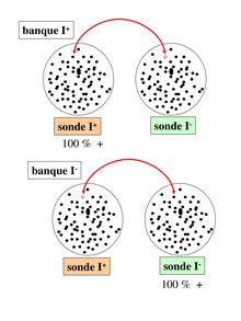 sonde I+ sonde I
