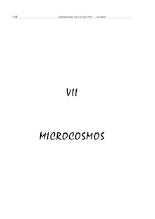 VII MICROCOSMOS