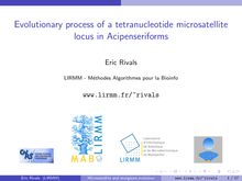 Evolutionary process of a tetranucleotide microsatellite locus in Acipenseriforms