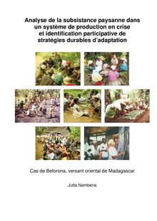 Analyse de la subsistance paysanne dans un système de production en crise et identification participative de stratégies durables d adaptation [Elektronische Ressource] : cas de Beforona, versant oriental de Madagascar / Jutta Nambena