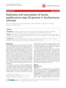 Replication and transcription of human papillomavirus type 58 genome in Saccharomyces cerevisiae