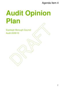 Annual Audit Opinion Plan