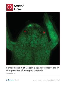 Remobilization of Sleeping Beautytransposons in the germline of Xenopus tropicalis