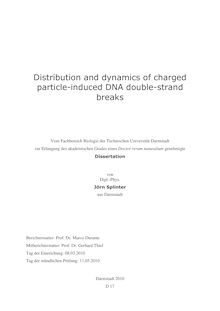 Distribution and dynamics of charged particle-induced DNA double-strand breaks [Elektronische Ressource] / von Jörn Splinter