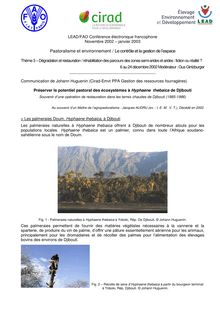 Huguenin 2002 Préserver le potentiel pastoral des écosystèmes à Hyphaene  thebaica de Djibouti FAO-LEAD