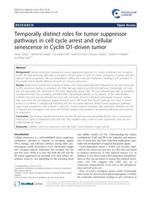 Temporally distinct roles for tumor suppressor pathways in cell cycle arrest and cellular senescence in Cyclin D1-driven tumor