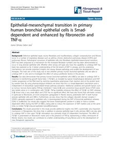 Epithelial-mesenchymal transition in primary human bronchial epithelial cells is Smad-dependent and enhanced by fibronectin and TNF-α