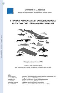 Stratégies alimentaires et énergétiques de la prédation chez les mammifères marins, Foraging strategies and energetic of predation among marine mammals