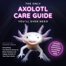 The Only Axolotl Care Guide You ll Ever Need