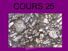 Cours 25 SVT 5e - formation d une roche sédimentaire beach-rock