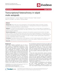 Transcriptional heterochrony in talpid mole autopods