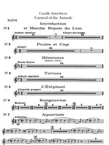 Partition flûte (doubles on Piccolo), Le Carnaval des Animaux (pour Carnival of pour Animals)