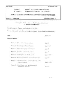 Stratégie de communication des entreprises 2001 BTS Communication des entreprises