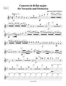 Partition flûte 1, Vuvuzela Concerto, Bb major, Matthews, John-Luke Mark