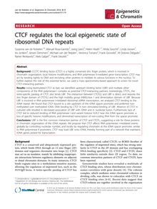 CTCF regulates the local epigenetic state of ribosomal DNA repeats
