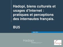 Hadopi, biens culturels et  usages d’Internet :  pratiques et perceptions  des internautes français