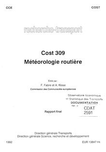 COST 309 - Météorologie routière - Rapport final (EUR 13847)