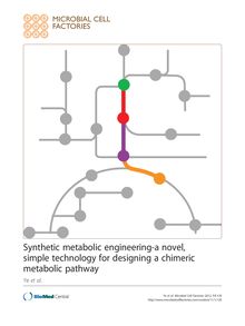 Synthetic metabolic engineering-a novel, simple technology for designing a chimeric metabolic pathway