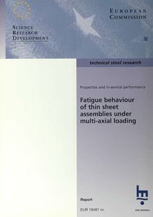 Fatigue behaviour of thin sheet assemblies under multi-axial loading