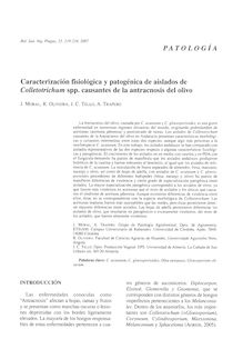 Caracterización fisiológica y patogénica de aislados de Colletotrichum spp. causantes de la antracnosis del olivo
