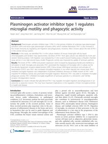 Plasminogen activator inhibitor type 1 regulates microglial motility and phagocytic activity