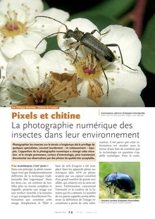 La photographie numérique des insectes / Insectes n° 137