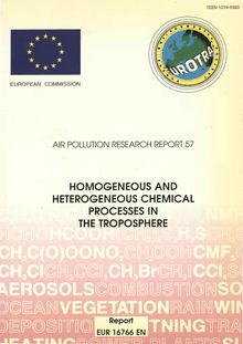 Homogeneous and heterogeneous chemical processes in the troposphere