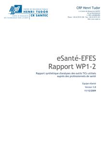 eSanté-EFES Rapport WP1-2