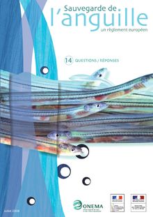 Sauvegarde de l anguille : un règlement européen - - Onema
