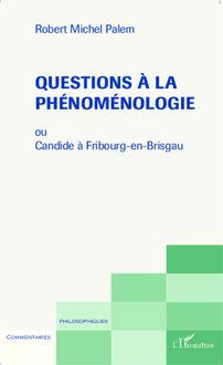 Questions à la phénoménologie