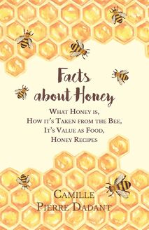 Facts about Honey