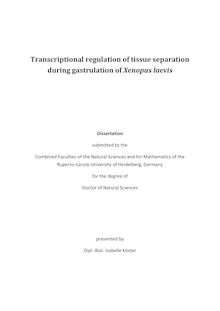 Transcriptional regulation of tissue separation during gastrulation of Xenopus laevis [Elektronische Ressource] / presented by Isabelle Köster