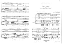 Partition complète et parties, Piano Trio No.2, E minor par Max Reger