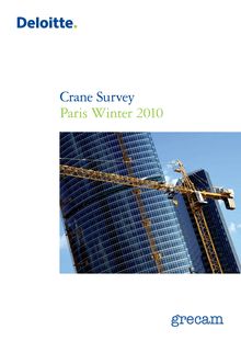 Crane Survey - Décembre 2010